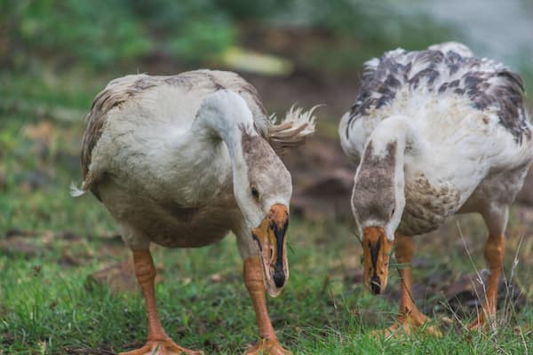 Kelva was a blissful place. It is a little far away from mumbai but once you reach there you will come to know that it feels exactly like you native place. It is an excellent place for street and nature photographers.