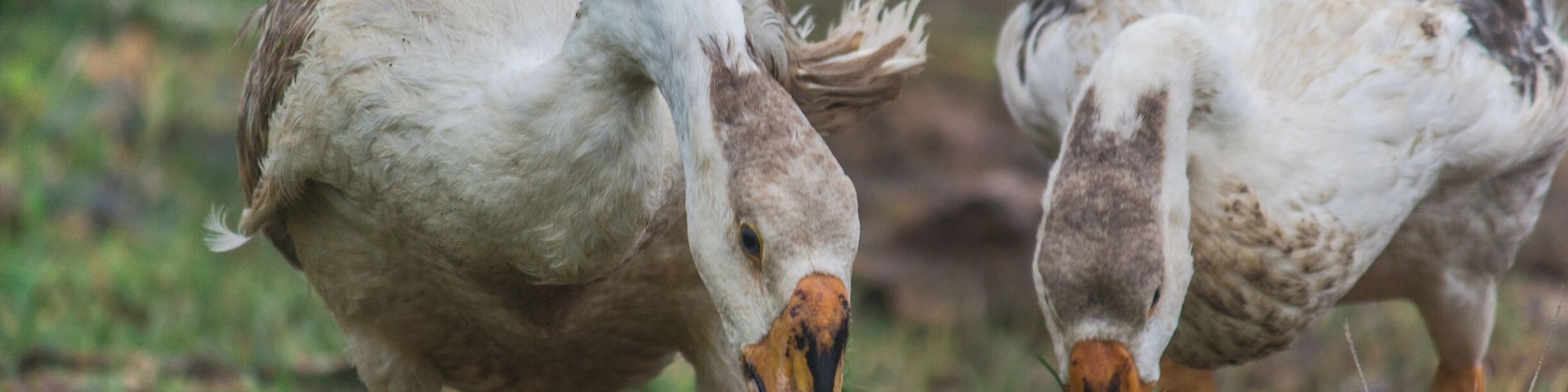 Kelva was a blissful place. It is a little far away from mumbai but once you reach there you will come to know that it feels exactly like you native place. It is an excellent place for street and nature photographers.