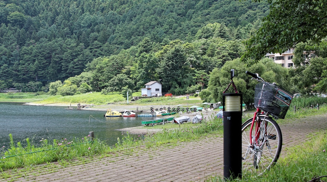 山中湖村