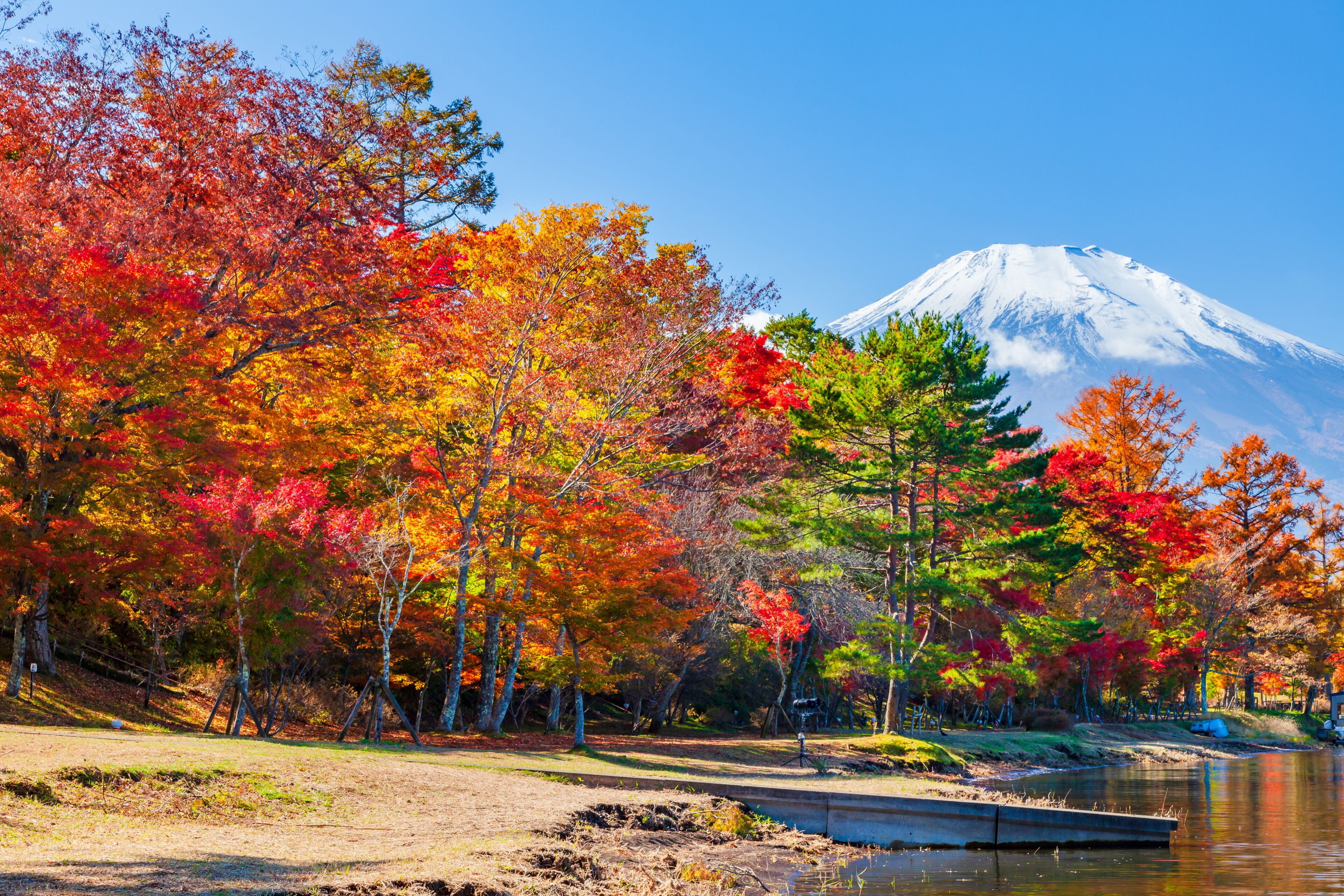 山中湖村