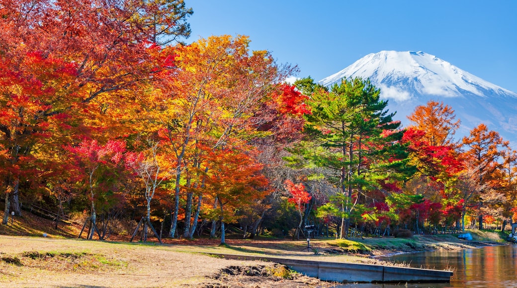 山中湖村
