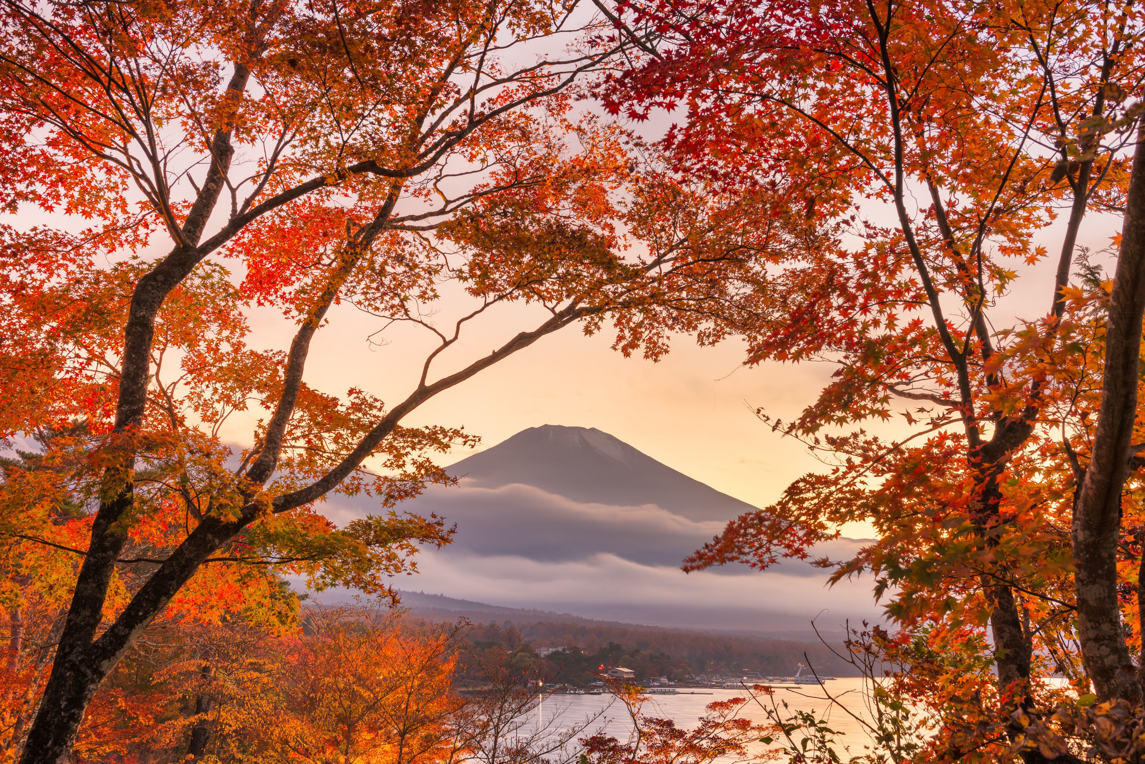 山中湖村