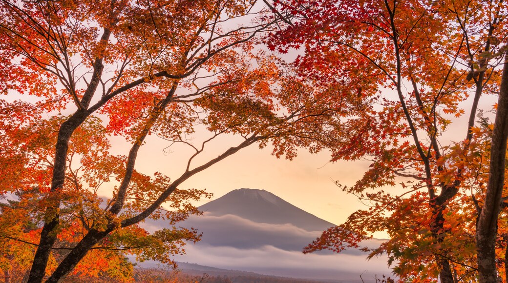 山中湖村