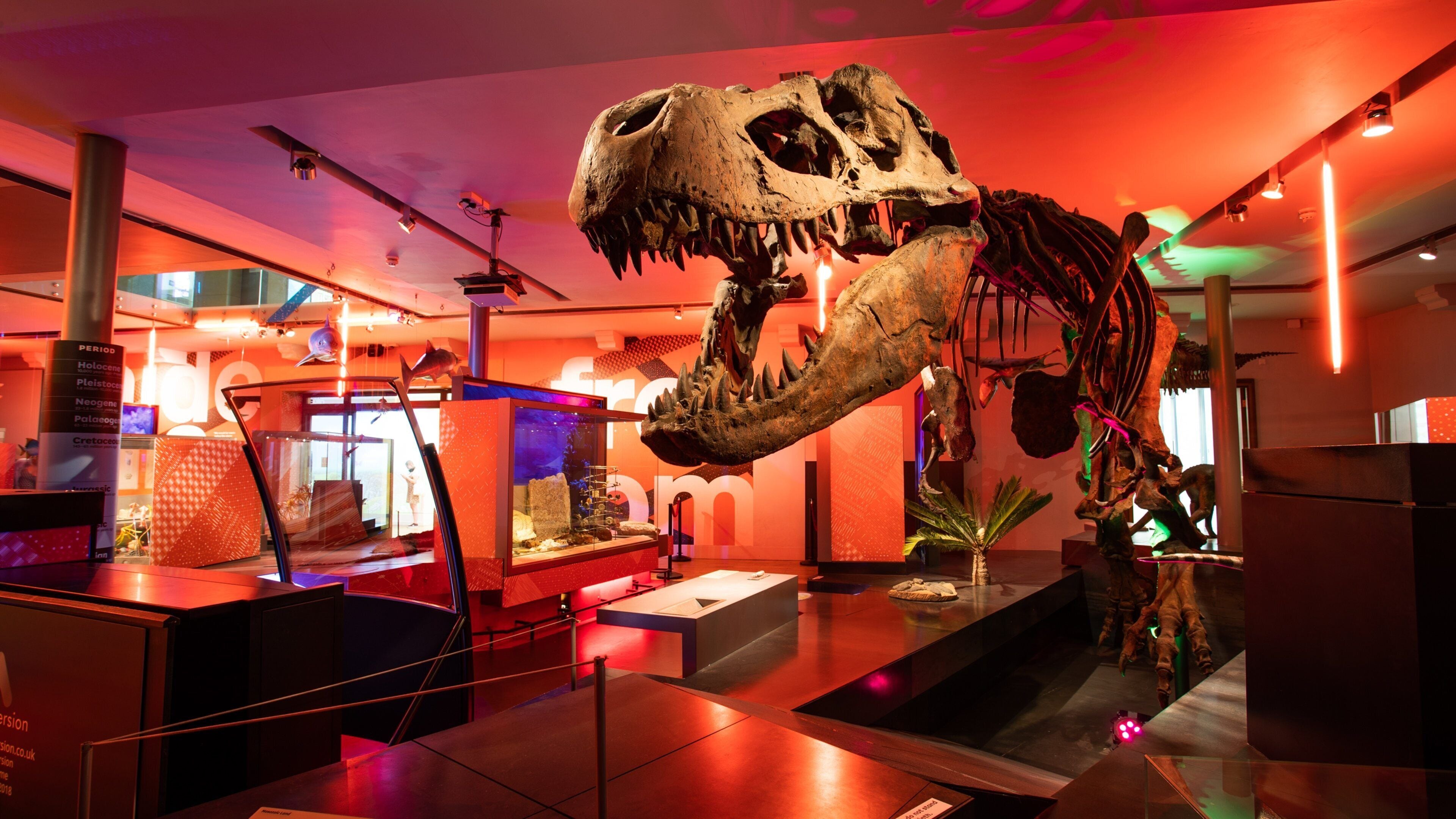 Newcastle City Center which includes interior views