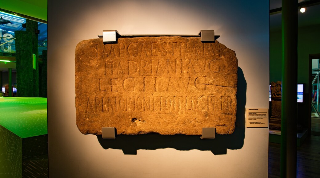 Great North Museum-Hancock showing heritage elements