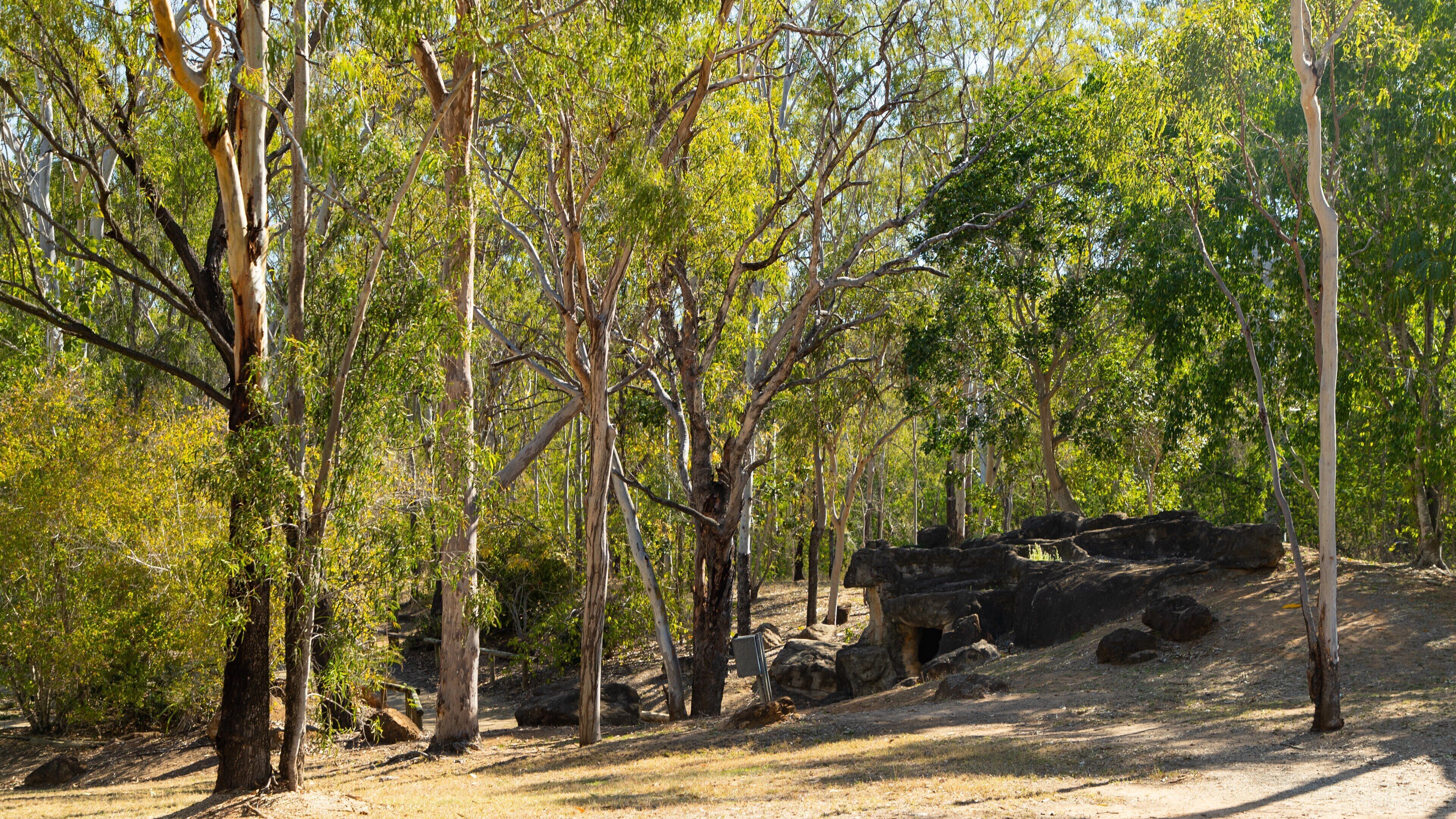 Aboriginal Dreamtime Cultural Centre showing a garden