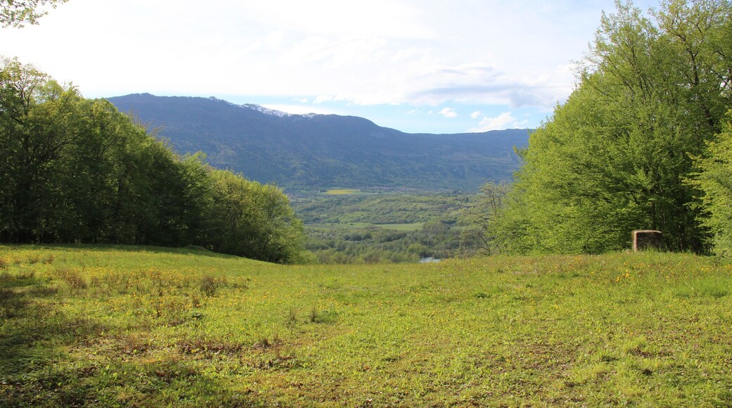 View on the Crêt d'Eau