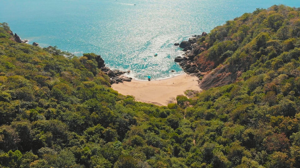 A coastal landscape with a beach surrounded by dense forest and rocky cliffs.
