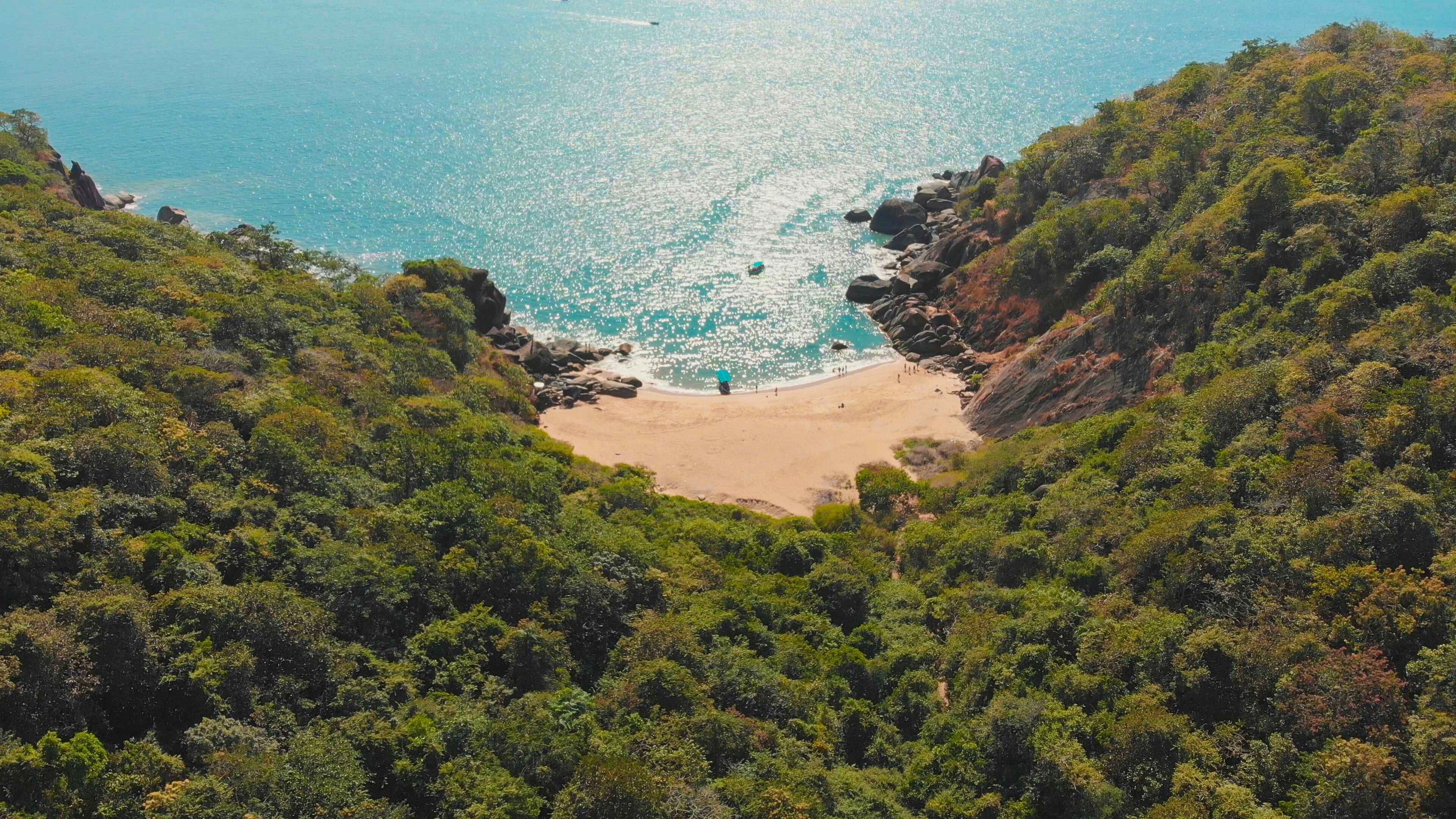 A coastal landscape with a beach surrounded by dense forest and rocky cliffs.