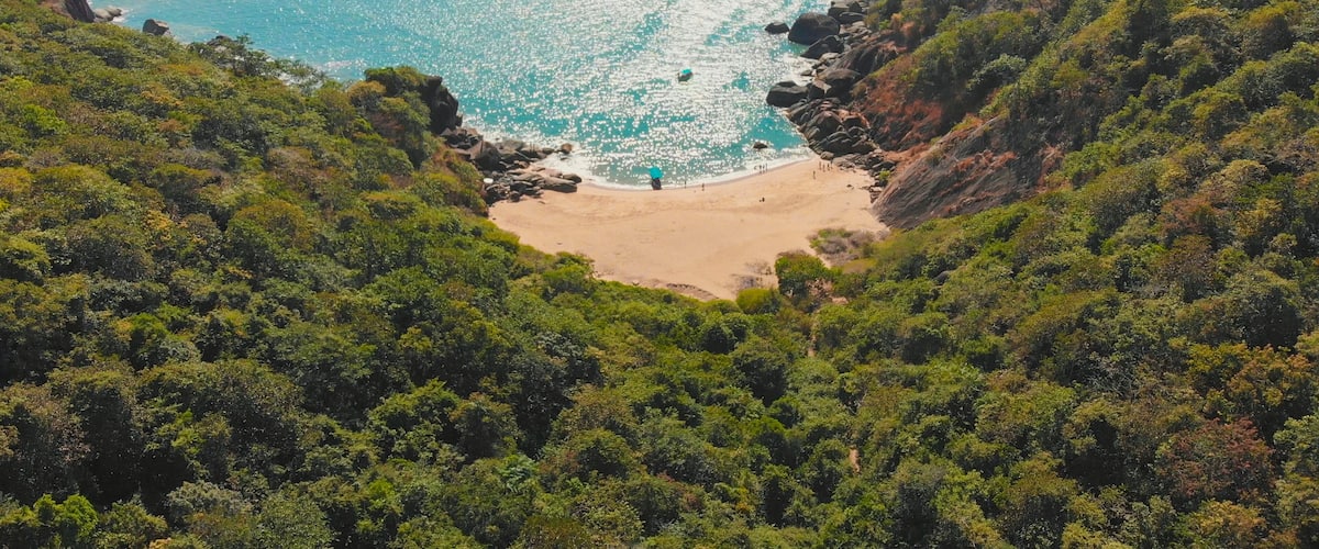 A coastal landscape with a beach surrounded by dense forest and rocky cliffs.