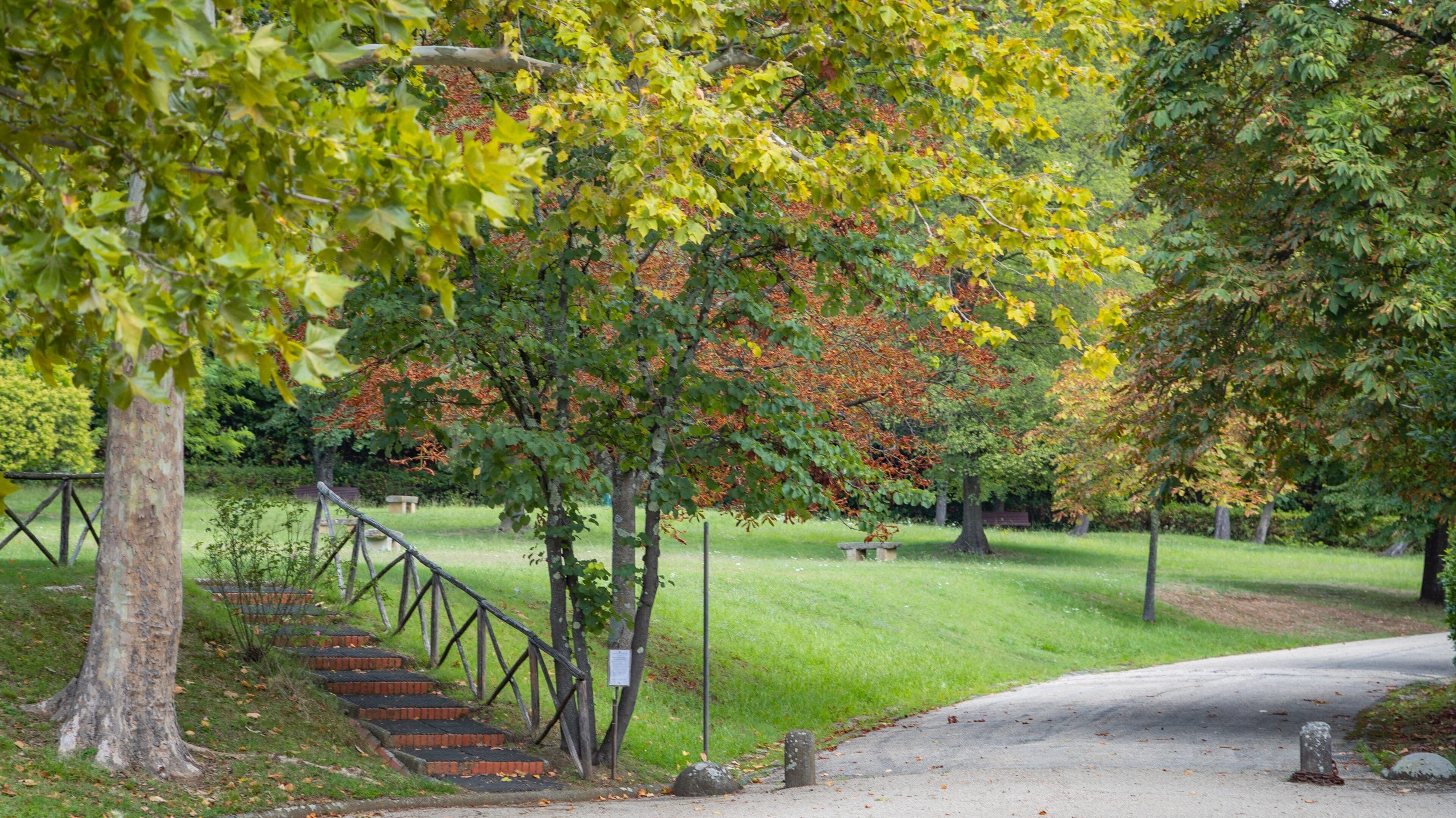 Campo di Marte showing a park