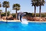 Dolfin show