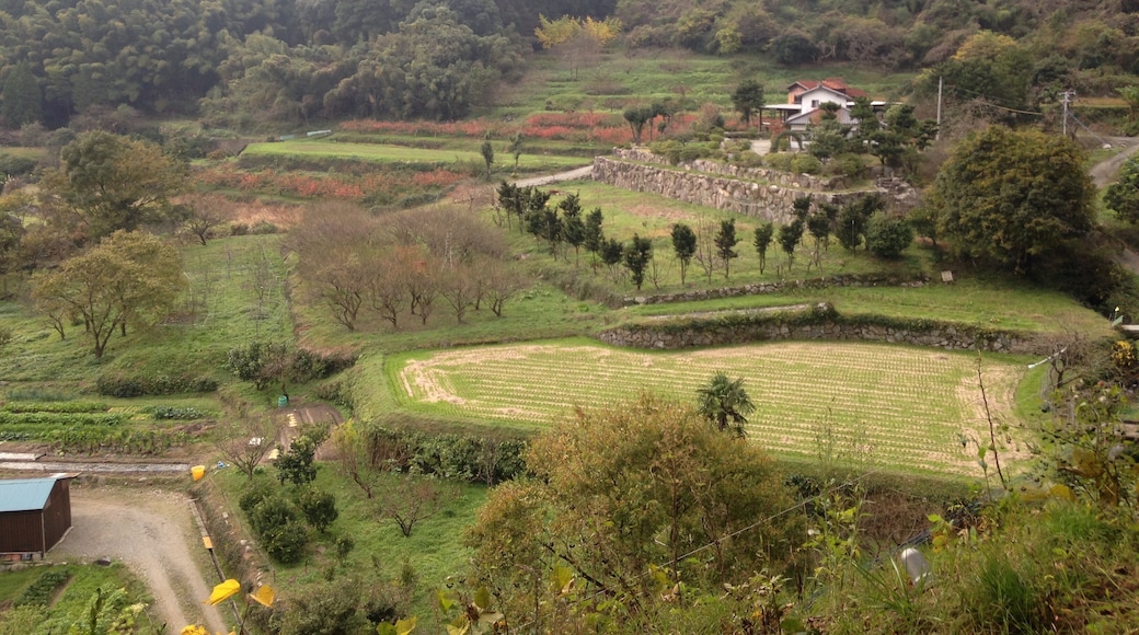 大興善寺境内・熊野神社の鳥居の前より望む景色