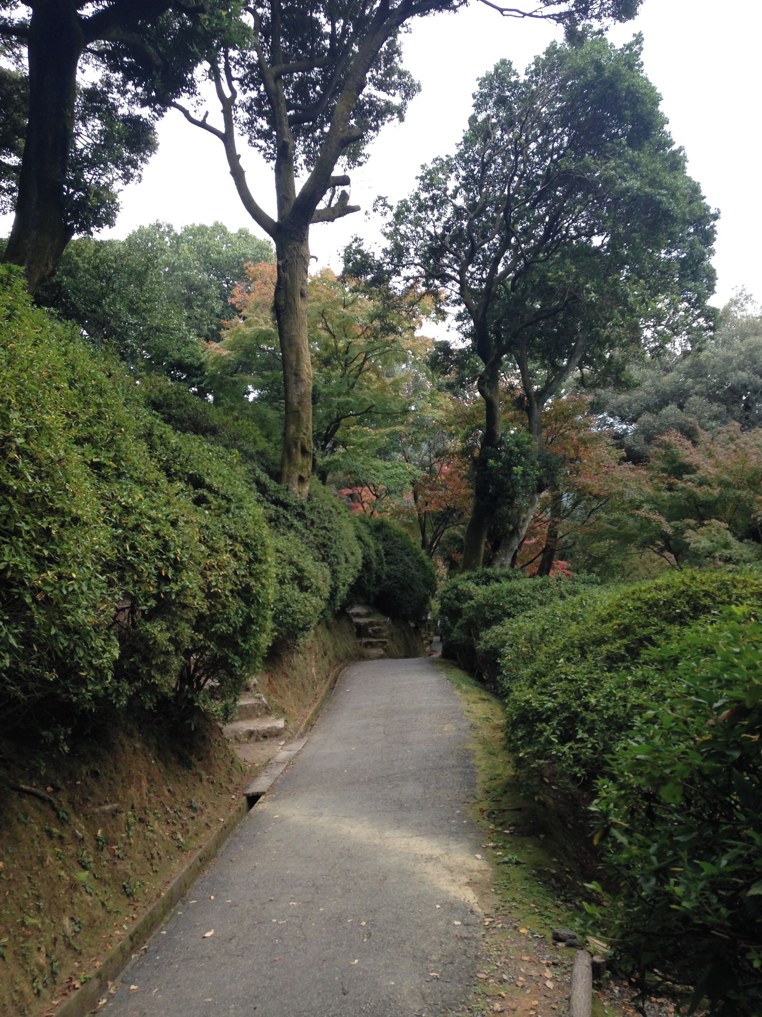 大興善寺・契園の景色