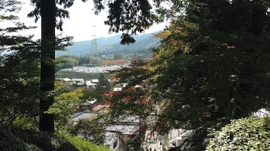 性èććŻșăźć±±éăăäžăæă