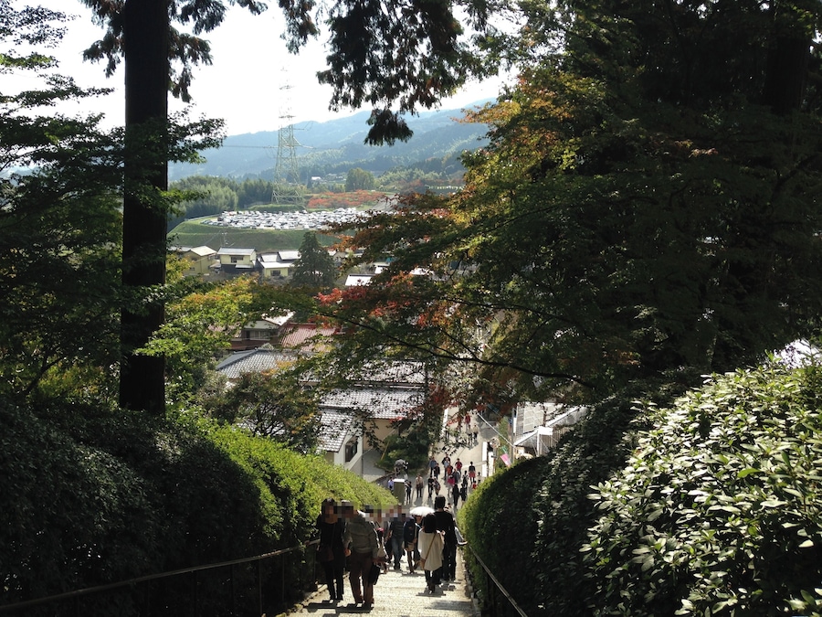 大興善寺の山門より下を望む