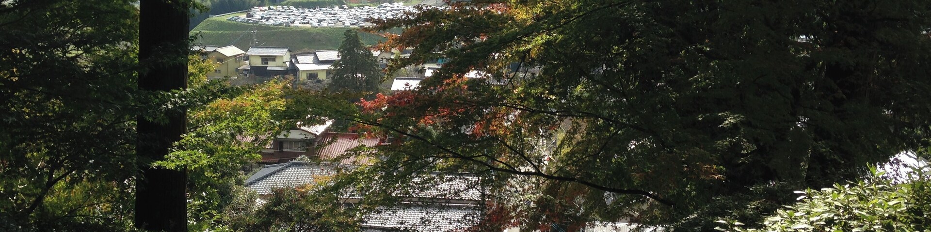 大興善寺の山門より下を望む