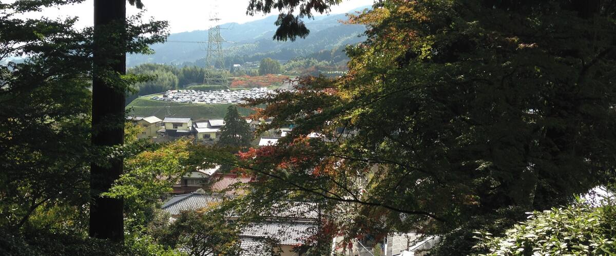 A hillside path with people walking, surrounded by trees and buildings.