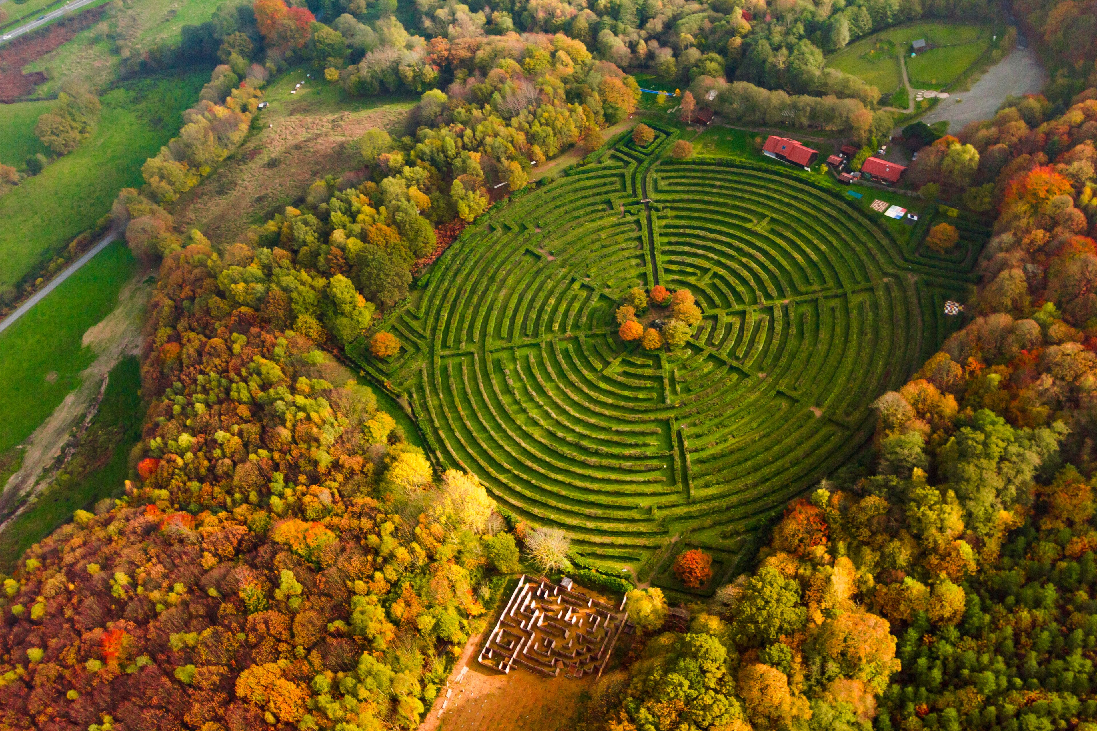 An aerial view of a maze-like garden with a central circular pattern, surrounded by dense trees with autumn foliage.