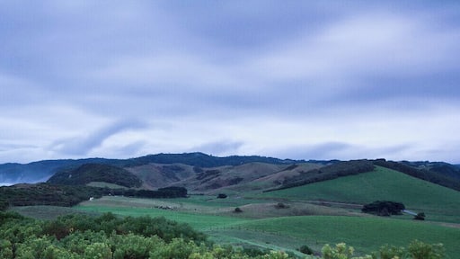 Cluster of private cottages. Open fireplace, great walking, dog friendly and gorgeous beaches.