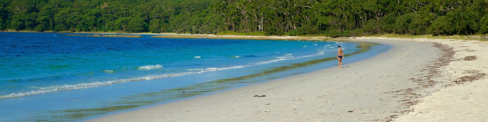 Sanctuary Point featuring general coastal views and a sandy beach