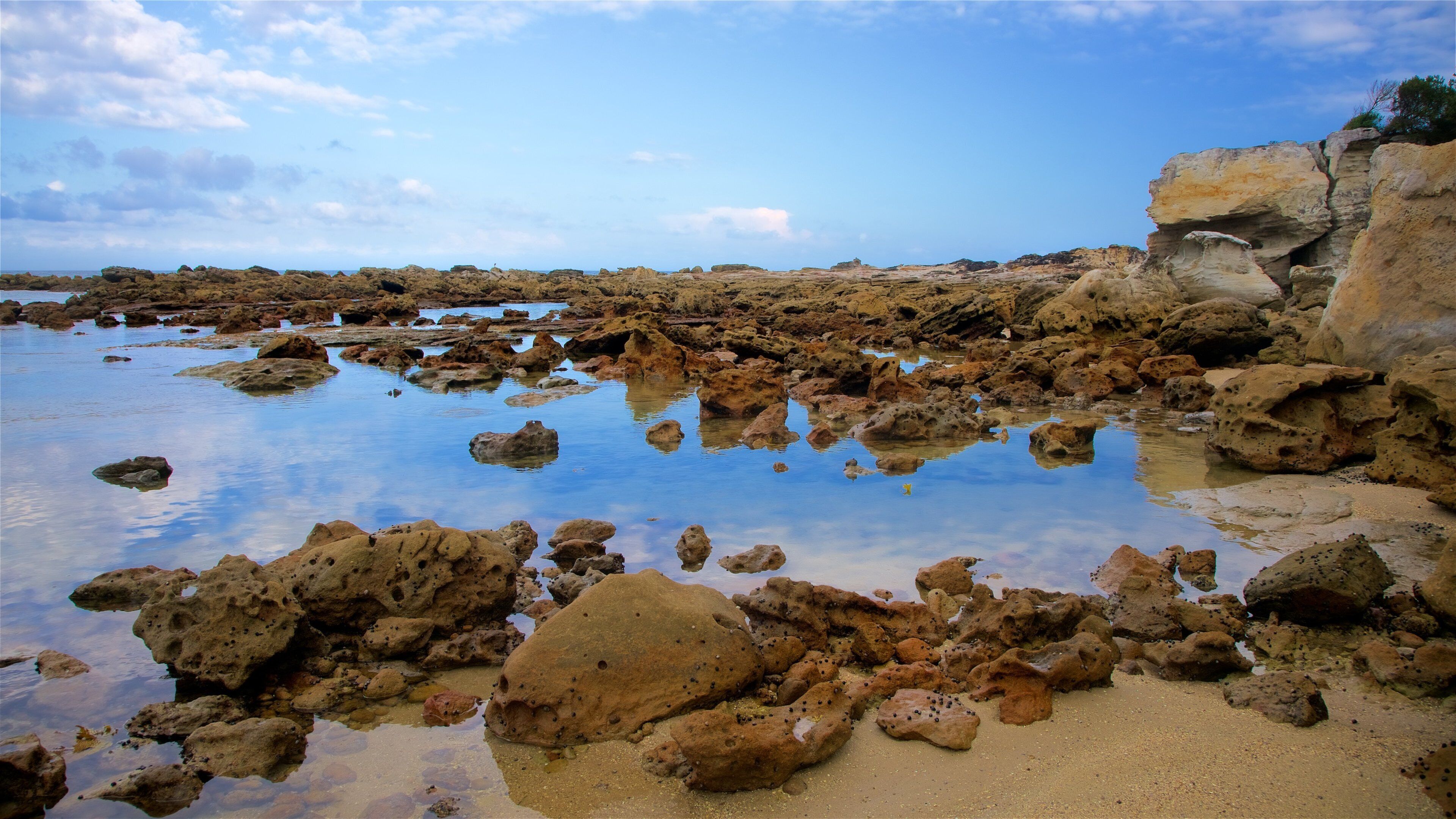 Parque Nacional de Booderee mostrando una playa y costa rocosa