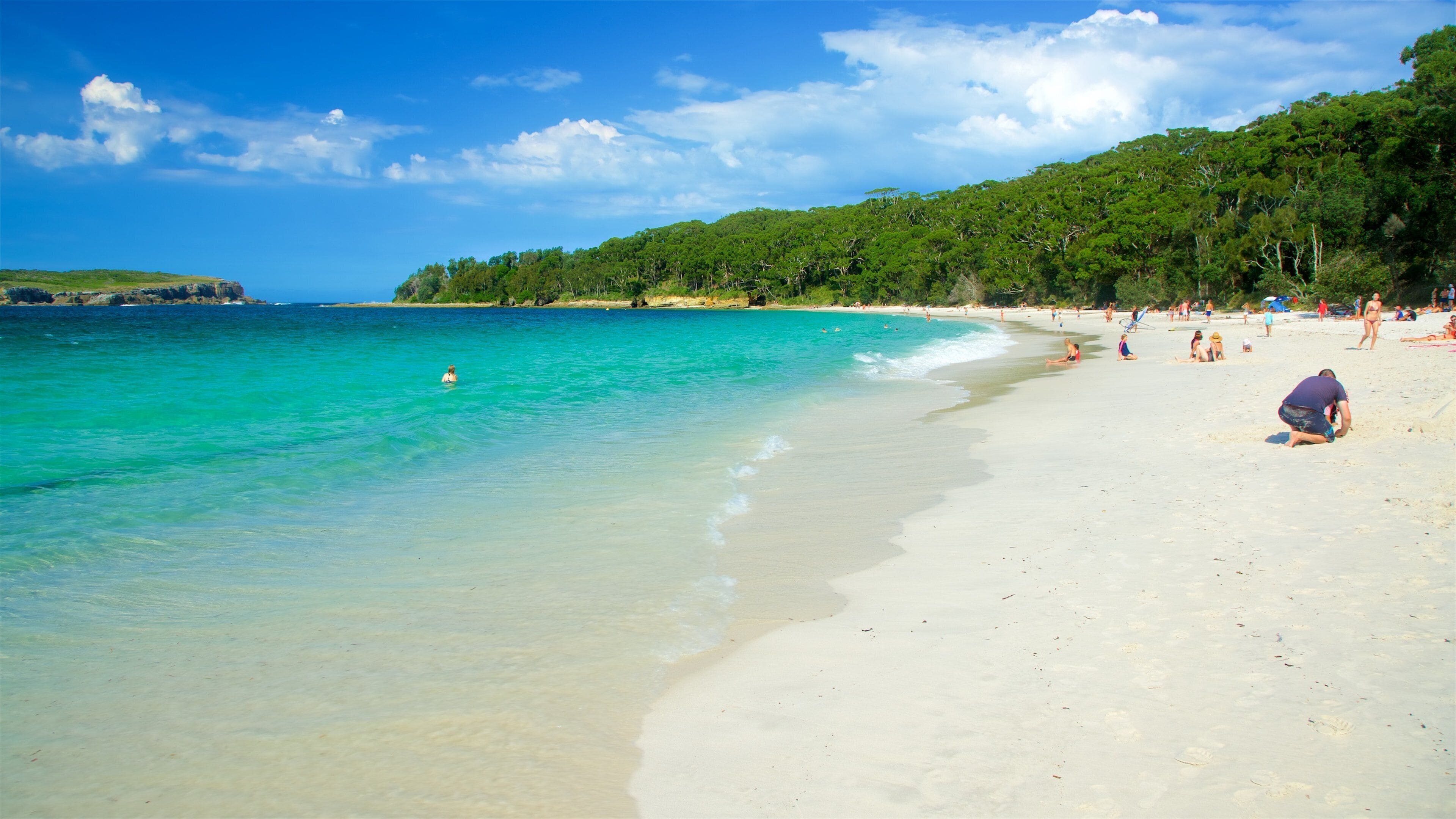 Booderee National Park showing a sandy beach as well as a large group of people