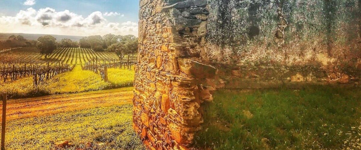 Old building overlooking the vineyards
