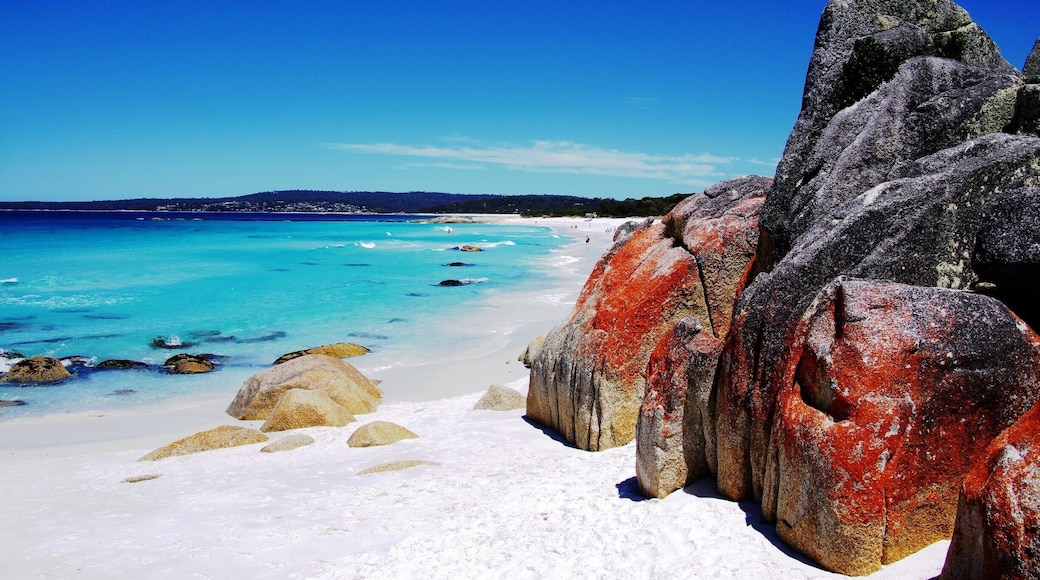 Bay of Fires , Tasmania , Australia