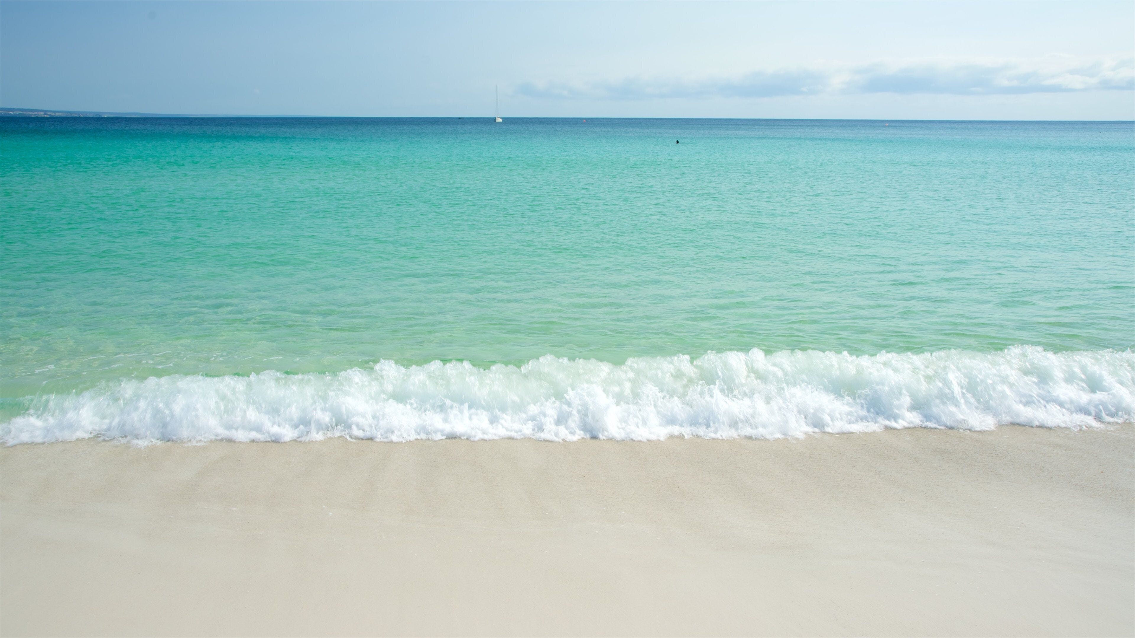 Binalong Bay which includes general coastal views and a sandy beach