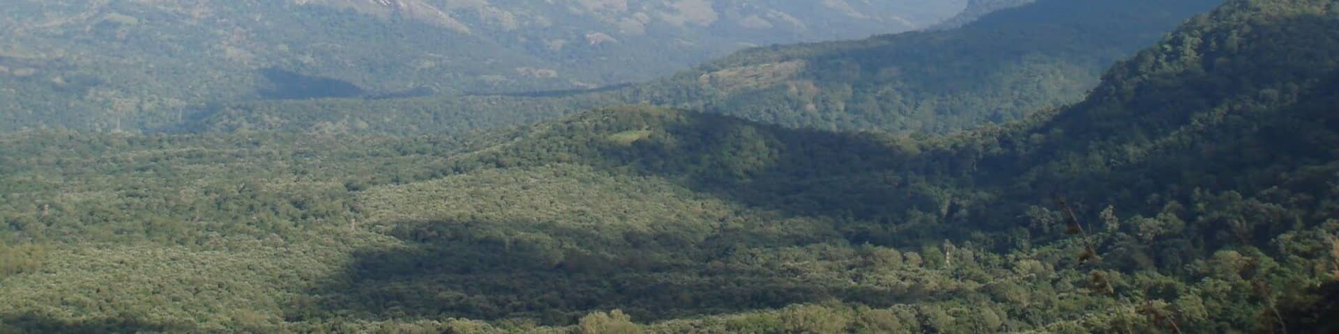 The Annamalai mountain range in Valparai.
#hiking #BestOf5 #Green
#BVSBlue