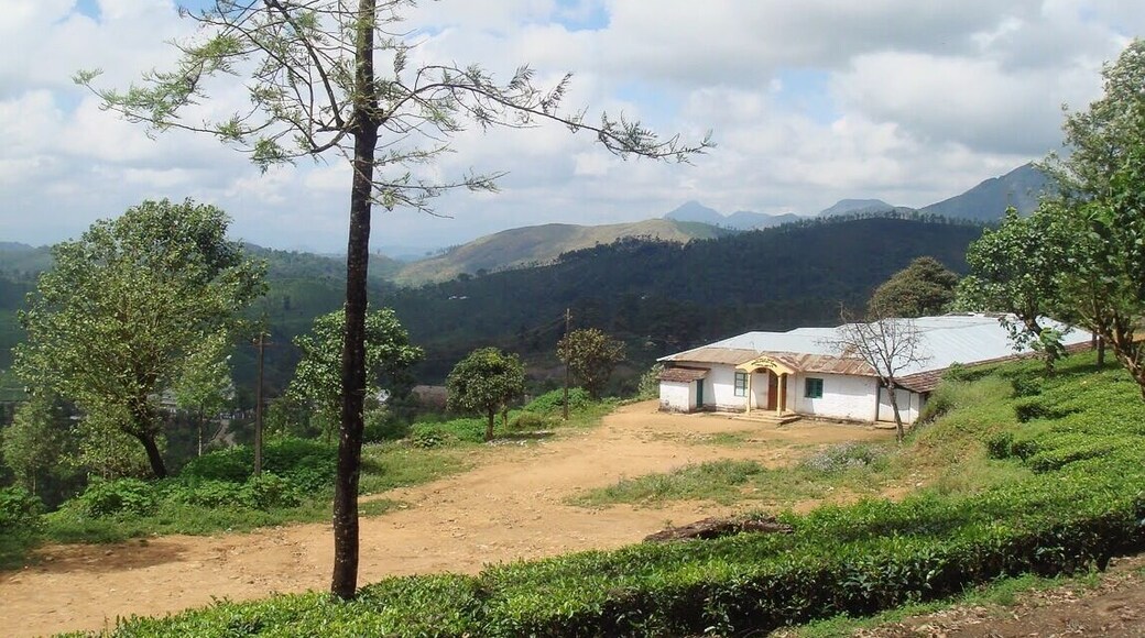 Scenic spot in Valparai with the Annamalai mountain range in the background.
#hiking #BestOf5 #Green