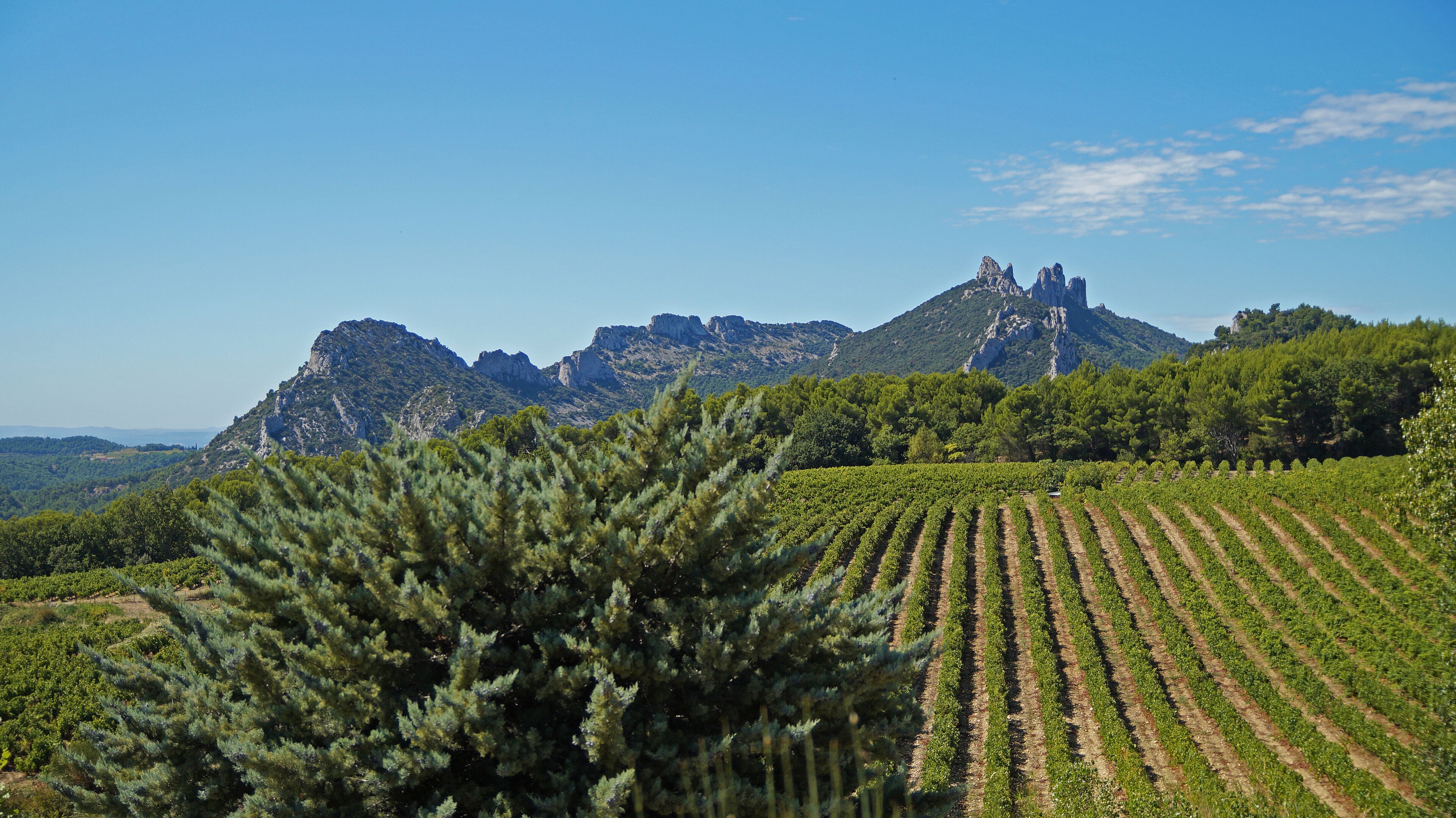 Urlaubsregion - Südfrankreich - Dentelles de Montmirail 