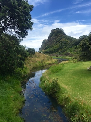 On the walk from beach to waterfall. So beautiful!