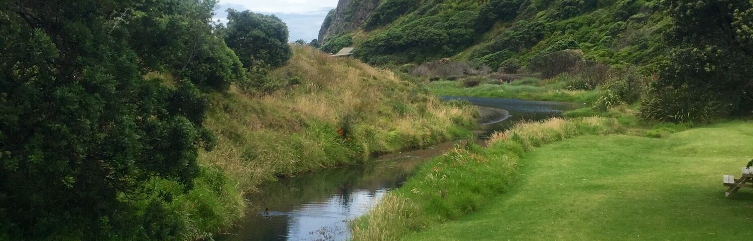 On the walk from beach to waterfall. So beautiful!