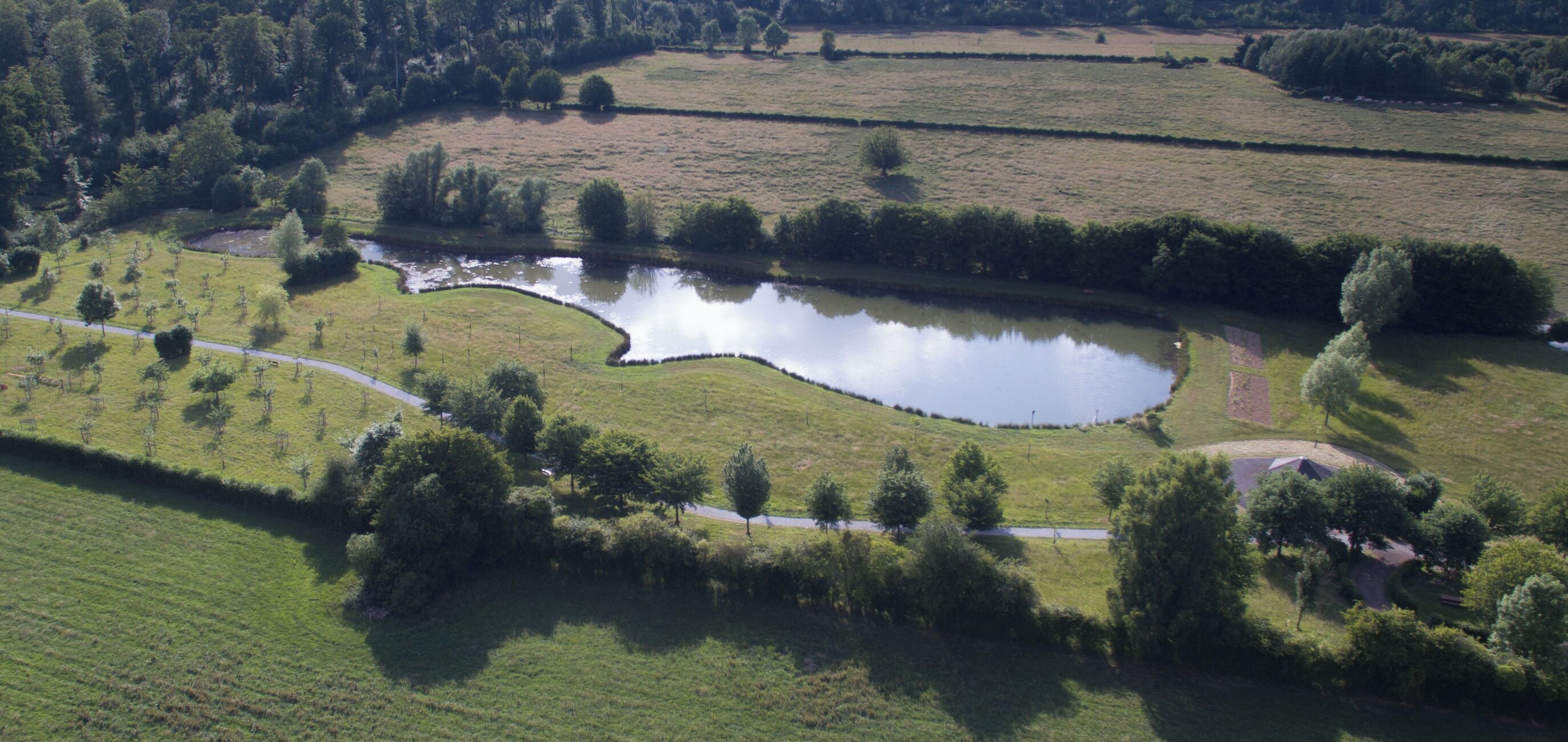 L'étang de la Pâture, Locquignol, Forêt de Mormal, Avesnois