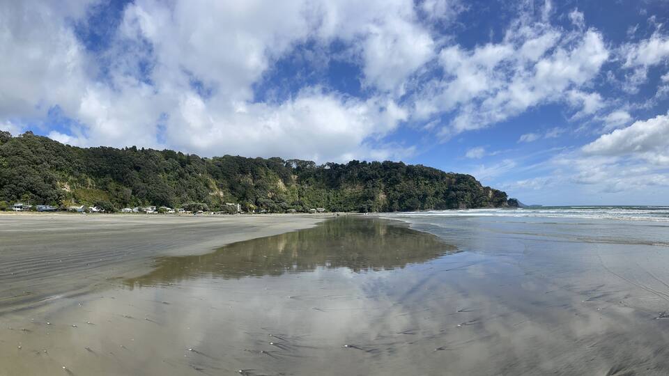 A beach with a sandy shore, waves, and a forested hillside in the background.