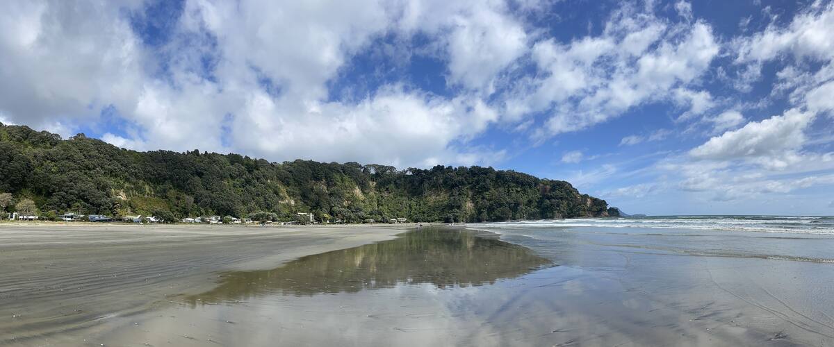 A beach with a sandy shore, waves, and a forested hillside in the background.