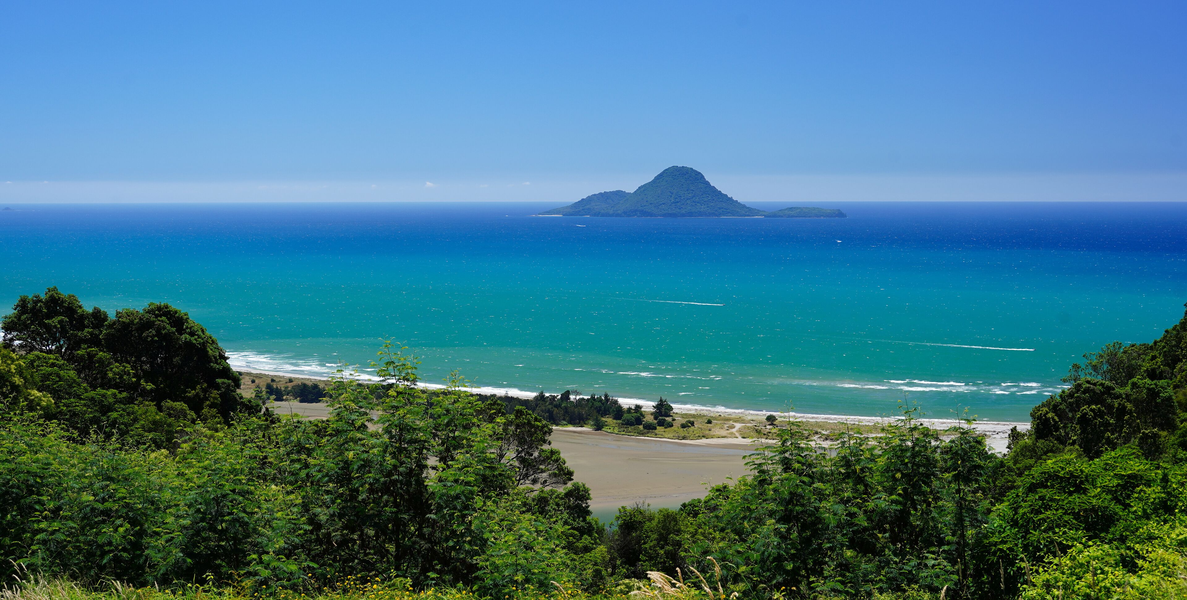 Moutohora Island near the town of Whakatane, New Zealand