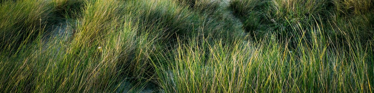 Un paysage côtier avec des dunes, une plage et un bâtiment situé sur une colline.