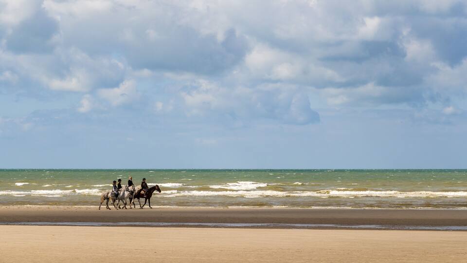 A beach with people riding horses along the shoreline.