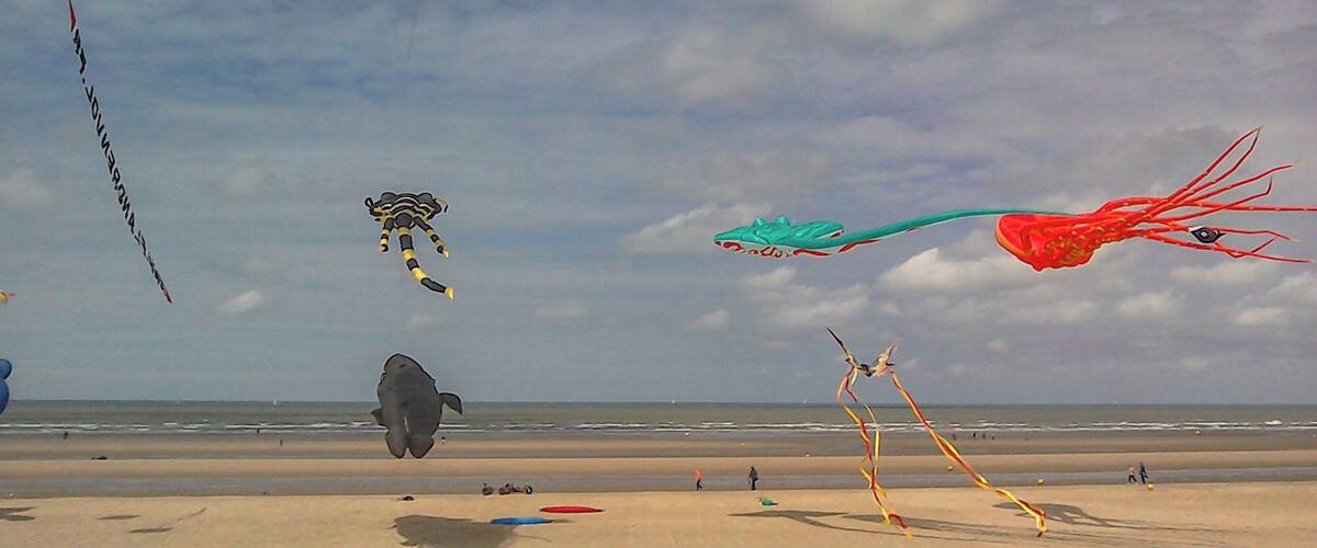 Fabulous international kite event on the beach. #BeachTips