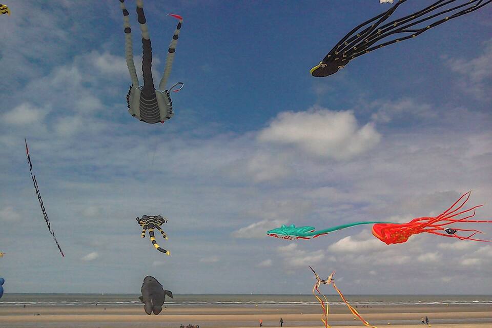 Various kites flying over a beach with the ocean in the background.
