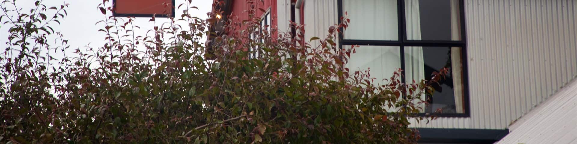 Little River featuring signage