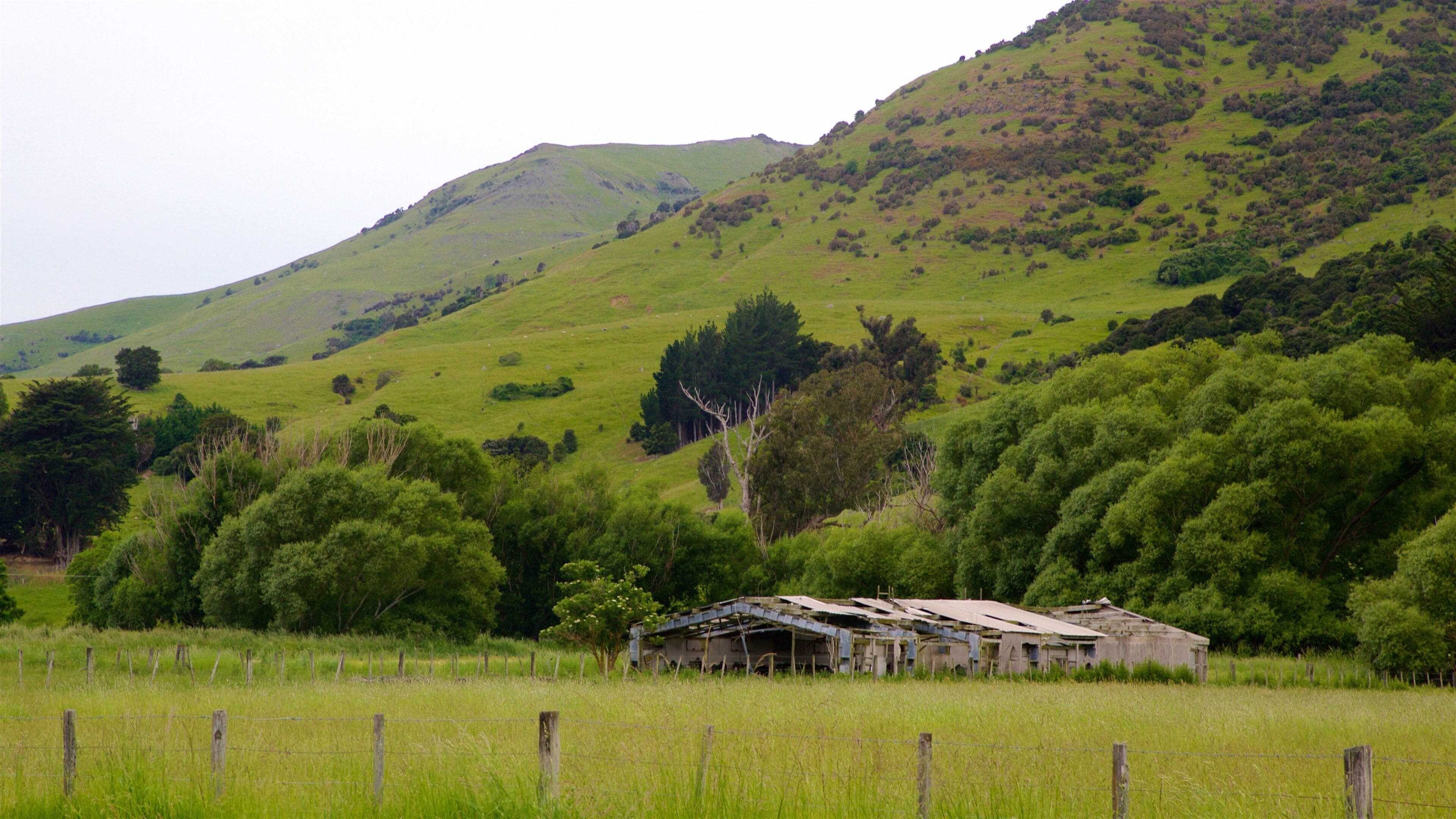 Little River showing landscape views and tranquil scenes