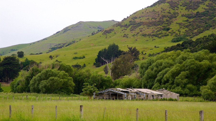 Little River showing landscape views and tranquil scenes