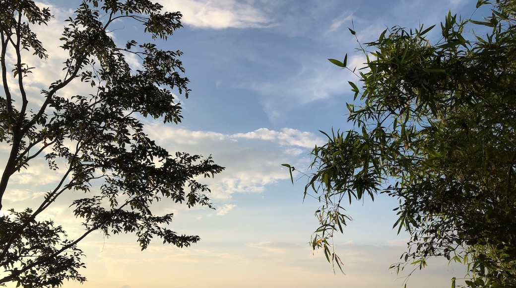 Enjoying God’s creation