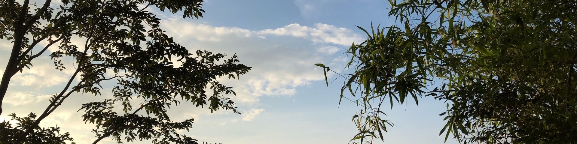 Enjoying God’s creation