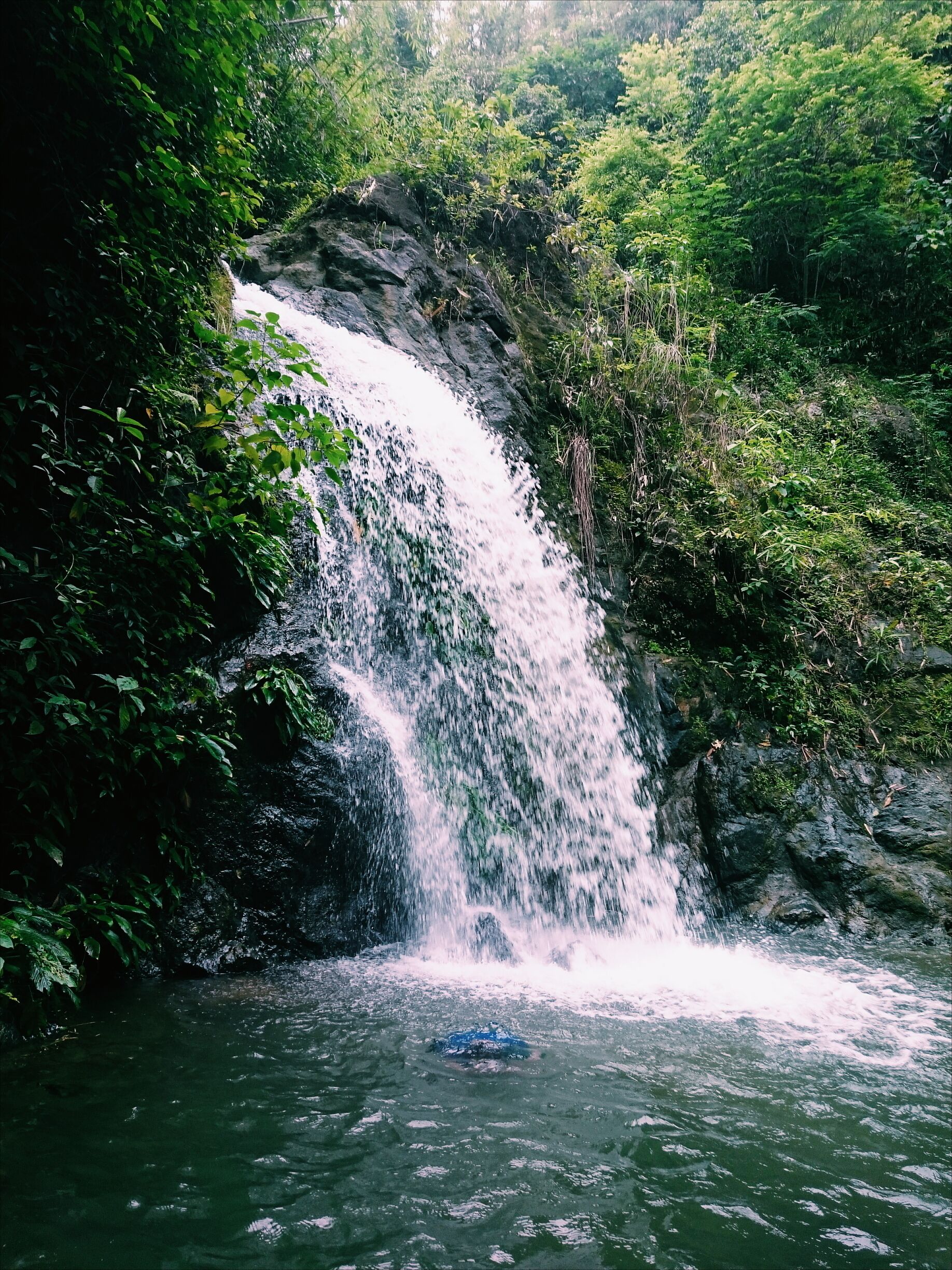 An hour trek would take you to this small but terrible falls here at Rodriguez, Rizal. Payaran falls is a favorite side trip by those who have finished hiking Mt. Sipit Ulang which is on the same location. It's so worth it 😁

#weekendwarrior #falls #mountaineering #hike