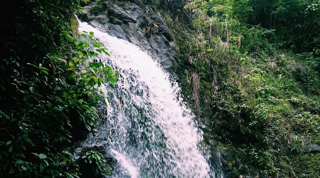 An hour trek would take you to this small but terrible falls here at Rodriguez, Rizal. Payaran falls is a favorite side trip by those who have finished hiking Mt. Sipit Ulang which is on the same location. It's so worth it 😁
#weekendwarrior #falls #mountaineering #hike